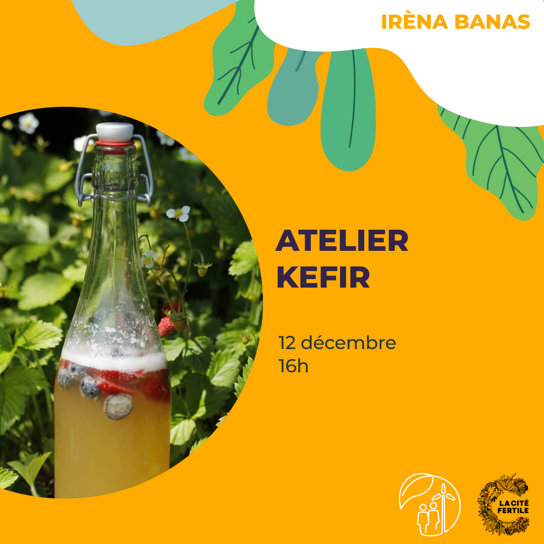 Irèna Banas – Atelier Kefir