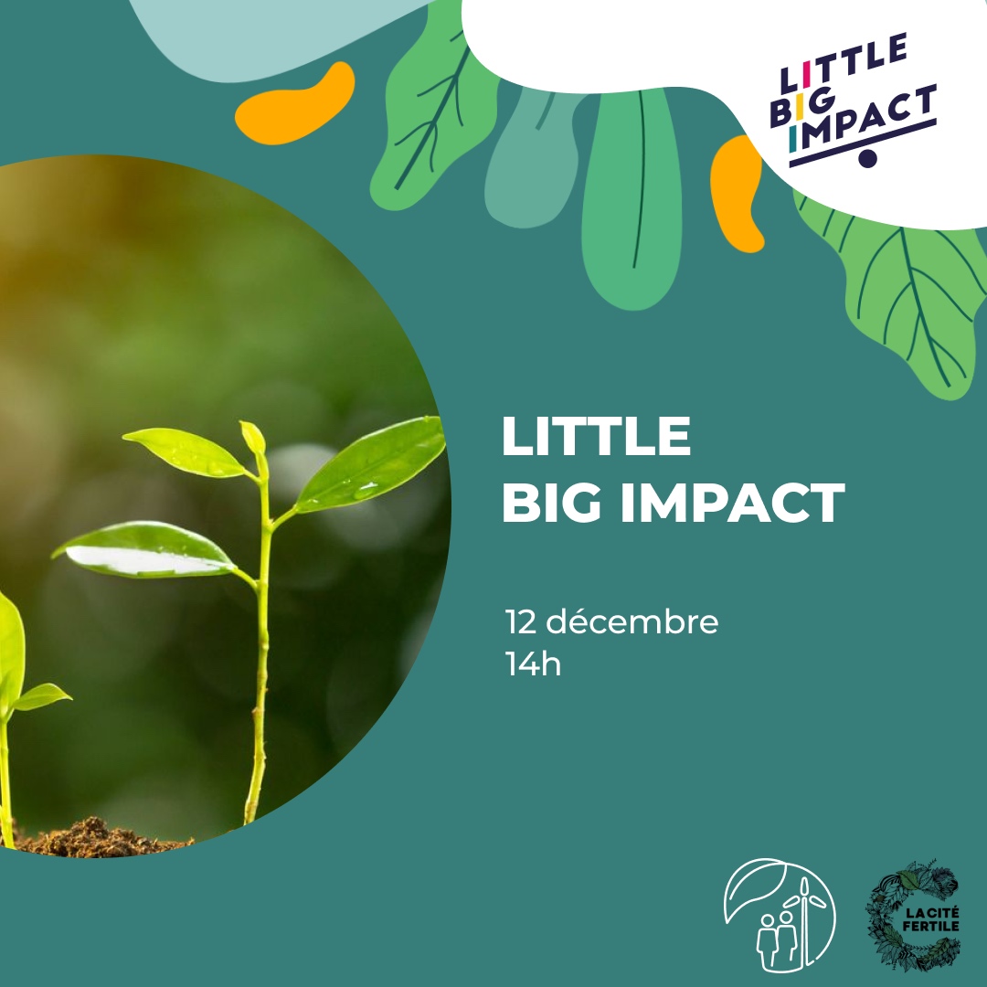 Atelier Little Big Impact